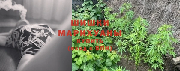 2c-b Алзамай