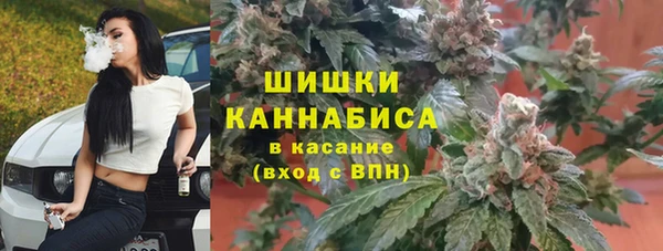 2c-b Алзамай