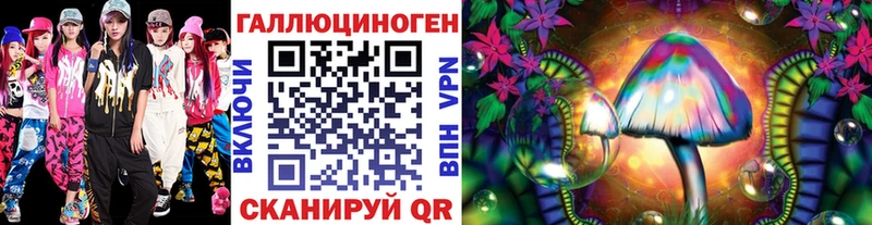 Псилоцибиновые грибы Cubensis  Тайшет 